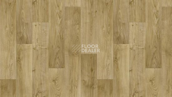 Линолеум Tarkett Discovery RIGARD 2 фото 1 | FLOORDEALER